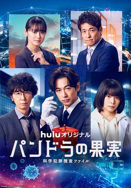 洛阳瀍河网站优化seo